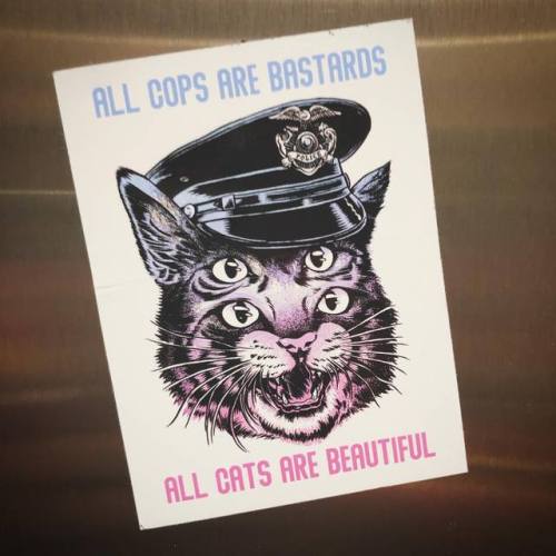 “All Cops Are Bastards, All Cats Are Beautiful”Seen in Houston, Texas