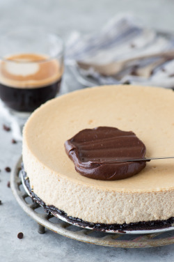 sweetoothgirl:    Espresso Cheesecake  