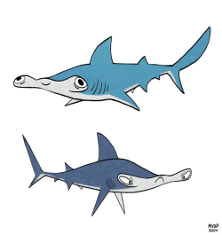 sketchinthoughts:  Hammerhead shark doodles