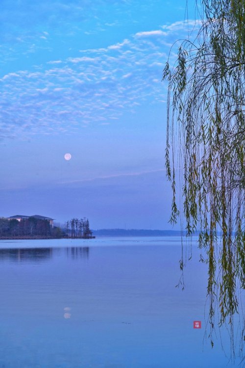 fuckyeahchinesegarden: suzhou, jiangsu province by 2011大漠孤夜