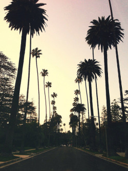 imposinggod:  Beverly Hills by Julius Lasin