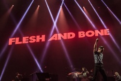 stuckinthetelevision:  I went to a killers concert and these are the photos i got! 