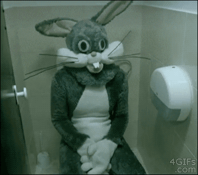 five nights at candle cove five nights at candle cove