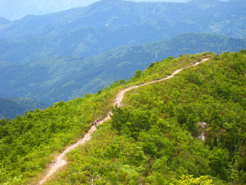 20150523取立山（Mt.Toritate、標高1,307.2m）予定では敦賀の西方ケ岳と蠑螺ケ岳に登って「北陸のハワイ」と云われている水島でも眺めてみようかなと思っていたが、ちょっと寝坊したのと