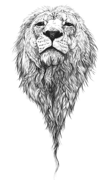 1000drawings:  by Amy Dover