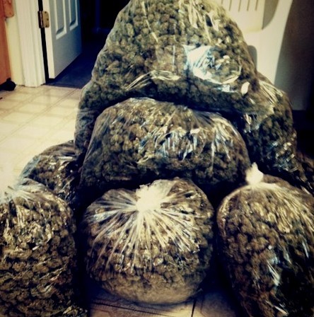 weedorz:  Always more weed on http://weedorz.tumblr.com  Damn. Santa got it right this year.