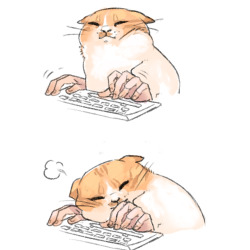 ideupstairs:  treeloverfan:   Was this the intention   very tired cat writing a term paper 