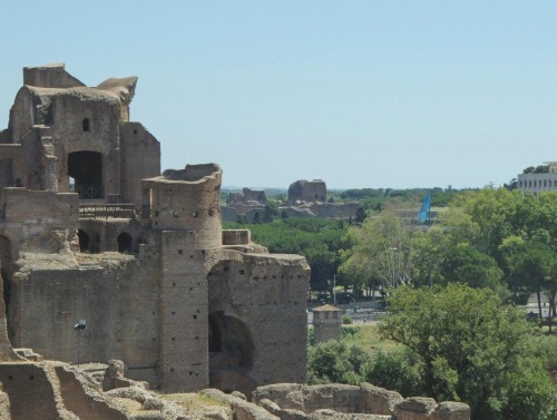 Ruins of imperial palace on Palatine hill. In the background baths of Caracalla.