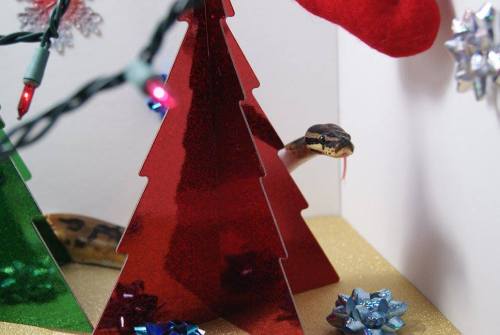 daedricsnakes:Happy Snolidays from Sithis, Vaermina, and Akatosh! May you have a very merry season :