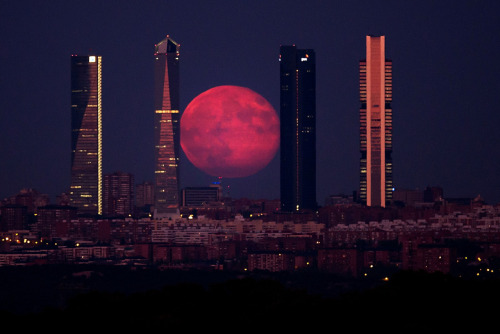 ninepulse:The moon shines through the Four Towers Madrid skyscraper on August 11, 2014 in Madrid, Spain. Source: Gonzalo Arroyo Moreno / Getty Images.