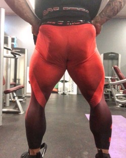 Aaron Polites - You know you’re doing something right when you can see the muscle striations through your tights. 