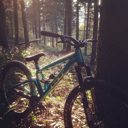 blackboxlabs:  Fall is doing great this year. Getting this @gtbicycles distortion dialed lately for 