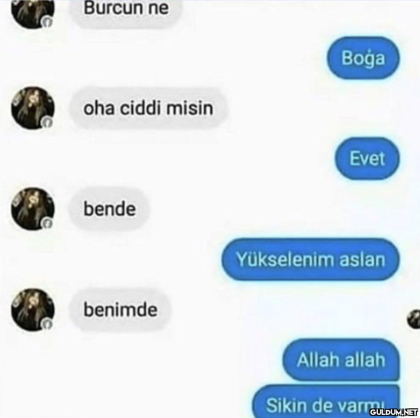 Burcun ne oha ciddi misin...