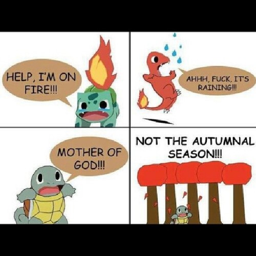 #pokemon