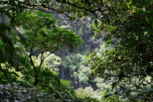 isla-bohemia: Mombacho |Nicaragua