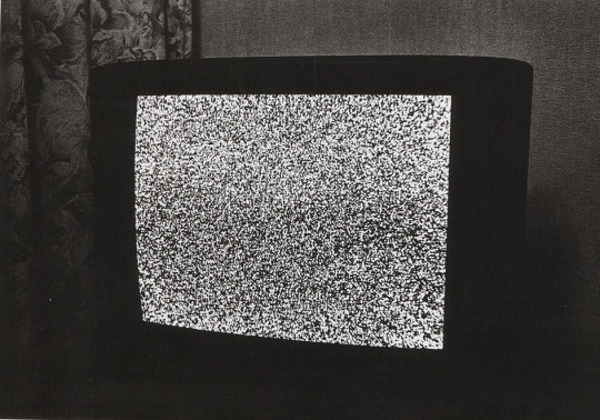 k-n-o-x-v-i-l-l-e:  sonofaodh:  Daido Moriyama  Imitation  1995     //