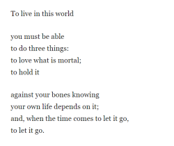 women-loving-art:   Mary Oliver, from In