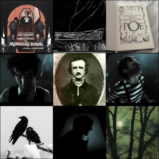 gayestgoth:  Buried Alive by Creature Feature Moodboard