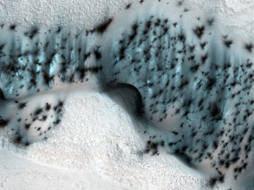 celestialreconnaissance:Welcome to winter on Mars! Mars has seasons just like Earth does, so while i