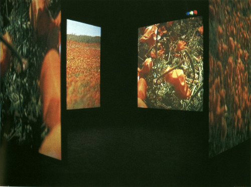 autosafari:  Bill Viola, The Stopping Mind, 1991.