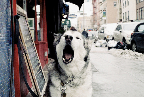 brutalgeneration:  Tumblr on We Heart It. http://weheartit.com/entry/63297662