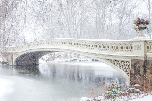 vivalcli:Winter in Central Park by Rebecca Dale