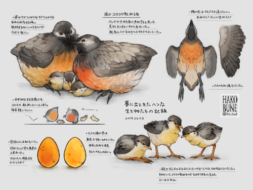 夢に出てきたヘンテコな生き物たちの記録。手が間に合ってないですが他にもたくさん見てます〜Creatures that appeared in my dream. 