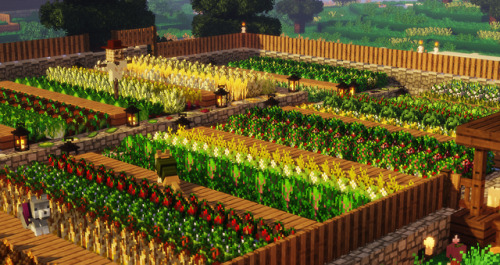 my farm + @spidey-jay‘s sunflower farm
