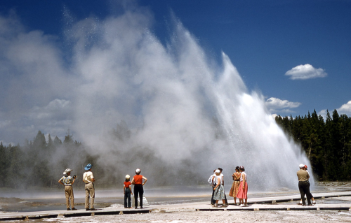 Daisy Geyser Erupts For A Group Of Tourists.