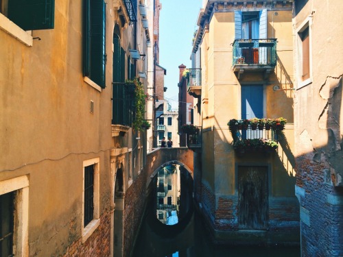 anxbrainer:i still can’t get over how beautiful Venice was