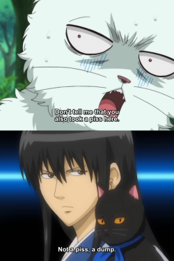 sasgay-kun:  No one could ever hate CATsura