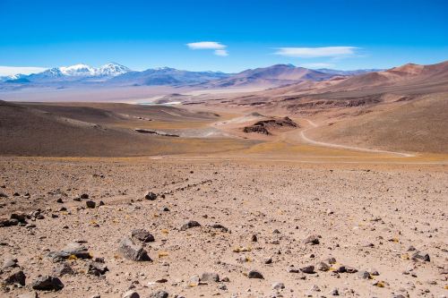 The Atacama desert bloomsEl Nino events are characterised by dry weather in Australia and India, and