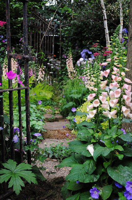 outdoormagic:  Hampton Court Flower Show 2014 by Mark Wordy on Flickr. 