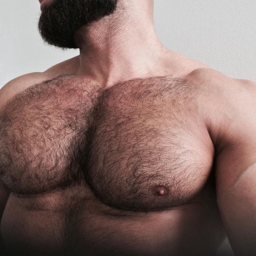 sweatyhairylickable:  http://sweatyhairylickable.tumblr.com for more hairy sweaty dudes! 