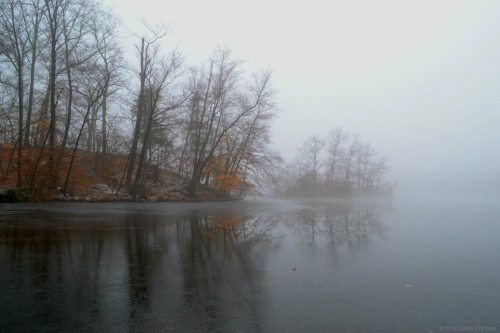 lauracphotography:  Hidden in the Fogby lauracphotography