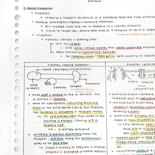 sprouht-studies: get your grind on!