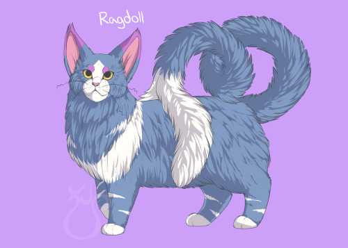 nationalpokedex:cheeziesart:since everyone’s doing it, here’s some variations on Purugly. I’ve never loved this dumb cat more than I do now. Purugly needs all the love.please do not repost or redistribute on other websites.I love this new trend!!!