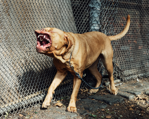 wetheurban:   THOMAS PRIOR When he was 13 years old, New York-based photographer
