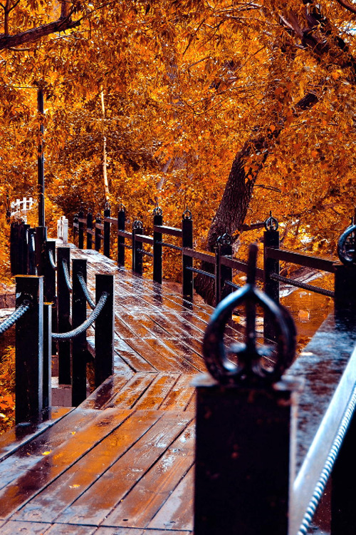maya47000:  Bridge Canada by Vlad Tartuzhev