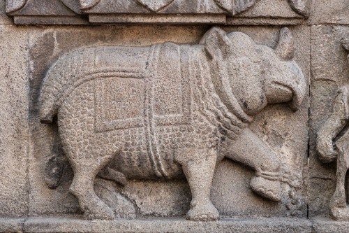 Rhinoceros, Trishund Ganapati Temple, Pune, Maharashtra,  photo by Kevin Standage, more at https://k