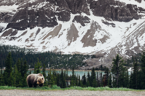 Banff National Park. Alberta, Canada.