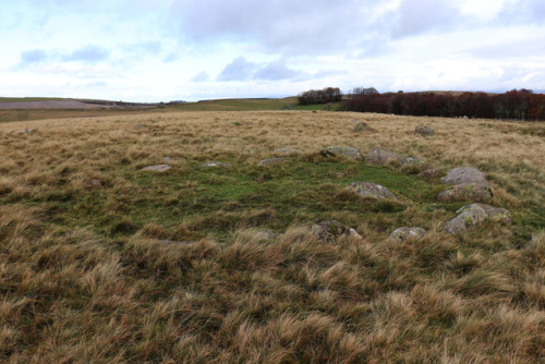 Oddendale Stone Circle, near Shap, Cumbria, Lake District, 4.11.17.This double lined stone circle si