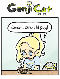 genji-cat:  The sequel!
