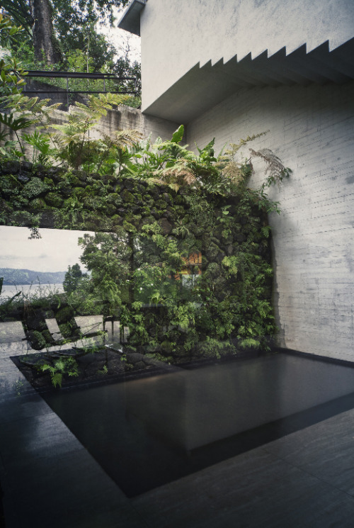 kateoplis:  House Maza 