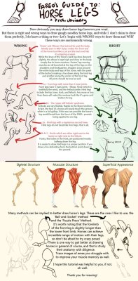 drawingden:  Fargo’s Equine Leg Tutorial