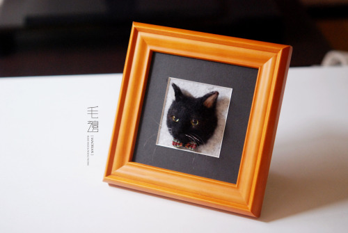  ▋Scottish Fold ( custom-made ) Pet Portrait  Frame is approximately 17 x 17 cm 