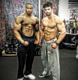 steadymirin:  Simeon Panda and Sergi Constance