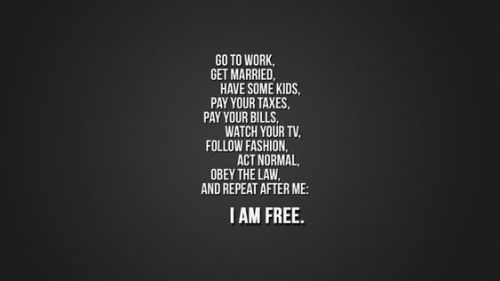 Lets Make This Year A Free One