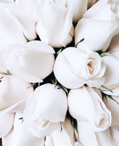 flowers | Tumblr