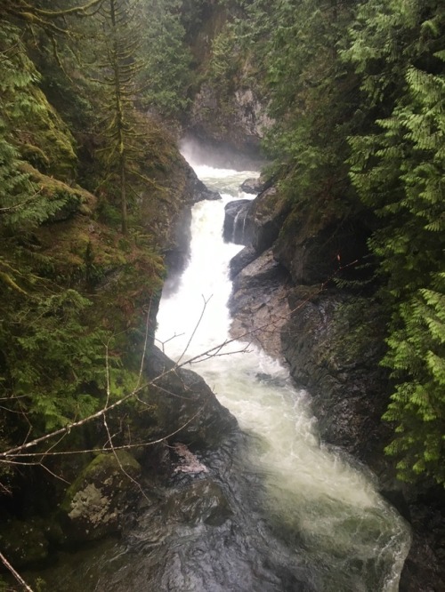 burningmine:Twin Falls State Park, April 2018It was so rainy that I couldn’t take my camera out all 